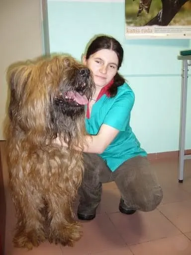 Gabinet Weterynaryjny "Tygrysek"